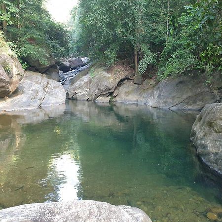 Gallene Gala Nature Resort Kitulgala Dış mekan fotoğraf