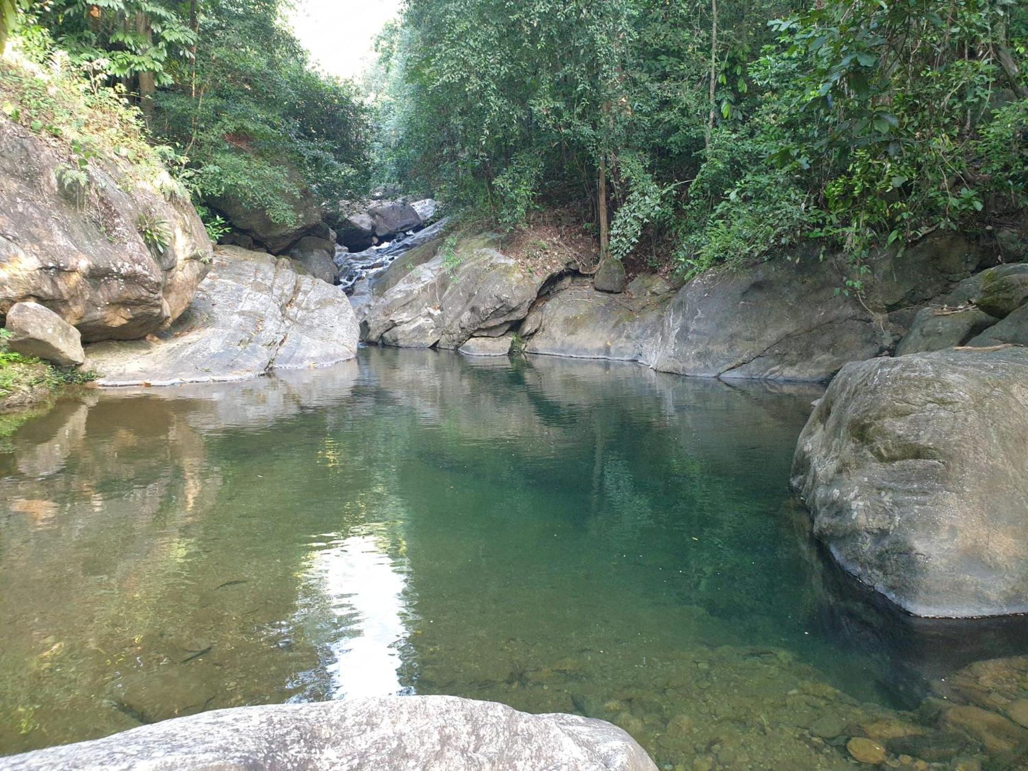 Gallene Gala Nature Resort Kitulgala Dış mekan fotoğraf