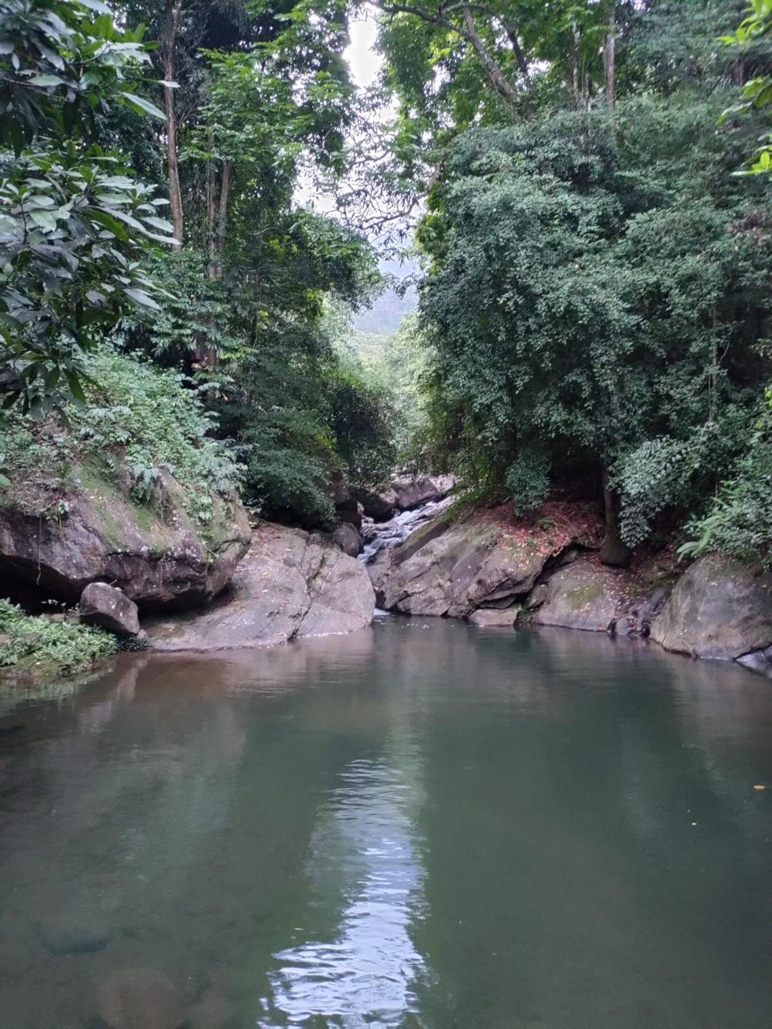 Gallene Gala Nature Resort Kitulgala Dış mekan fotoğraf