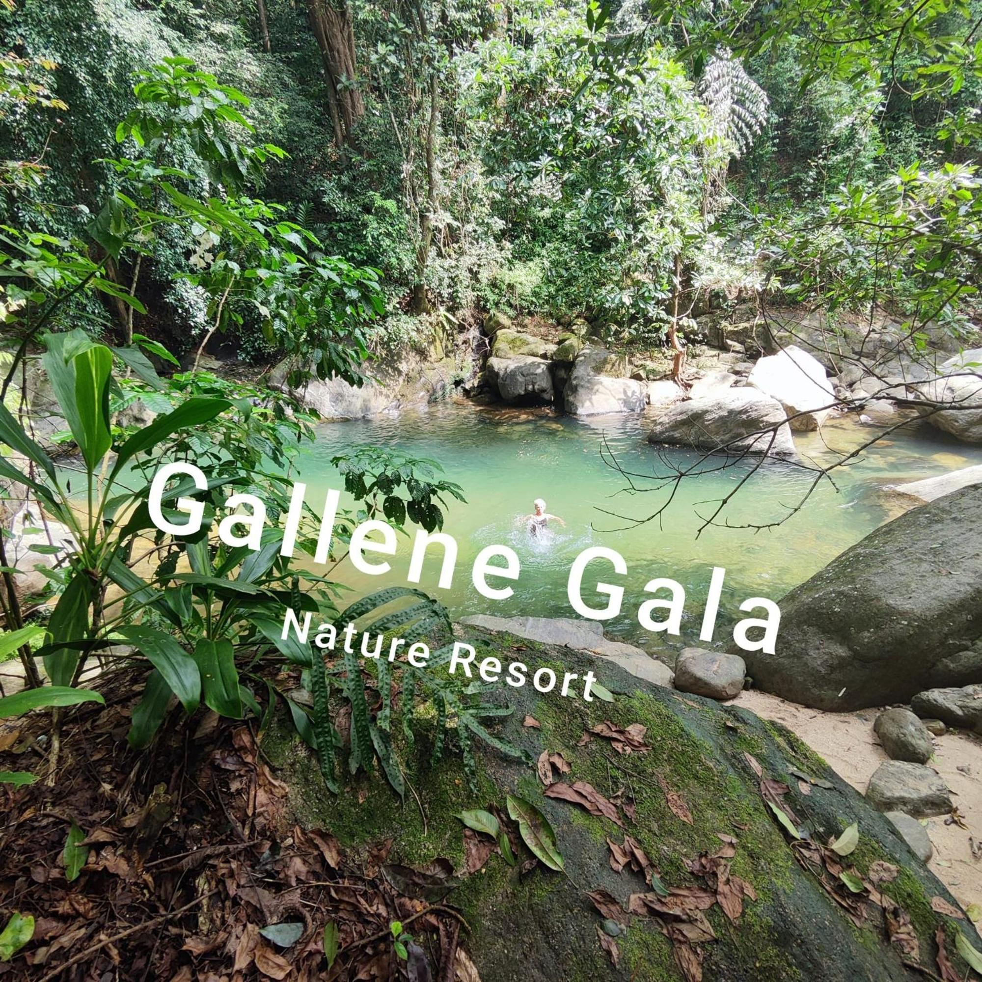 Gallene Gala Nature Resort Kitulgala Dış mekan fotoğraf