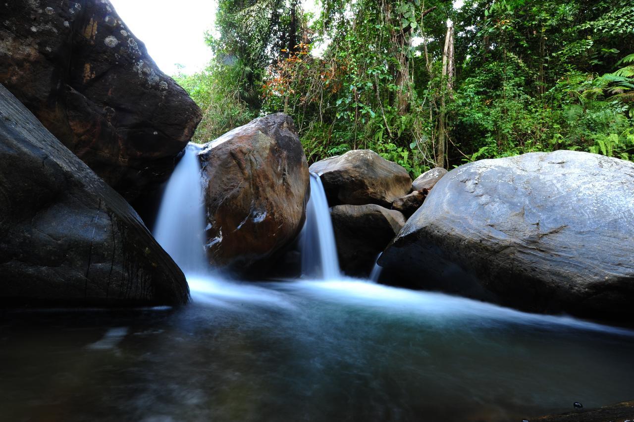 Gallene Gala Nature Resort Kitulgala Dış mekan fotoğraf