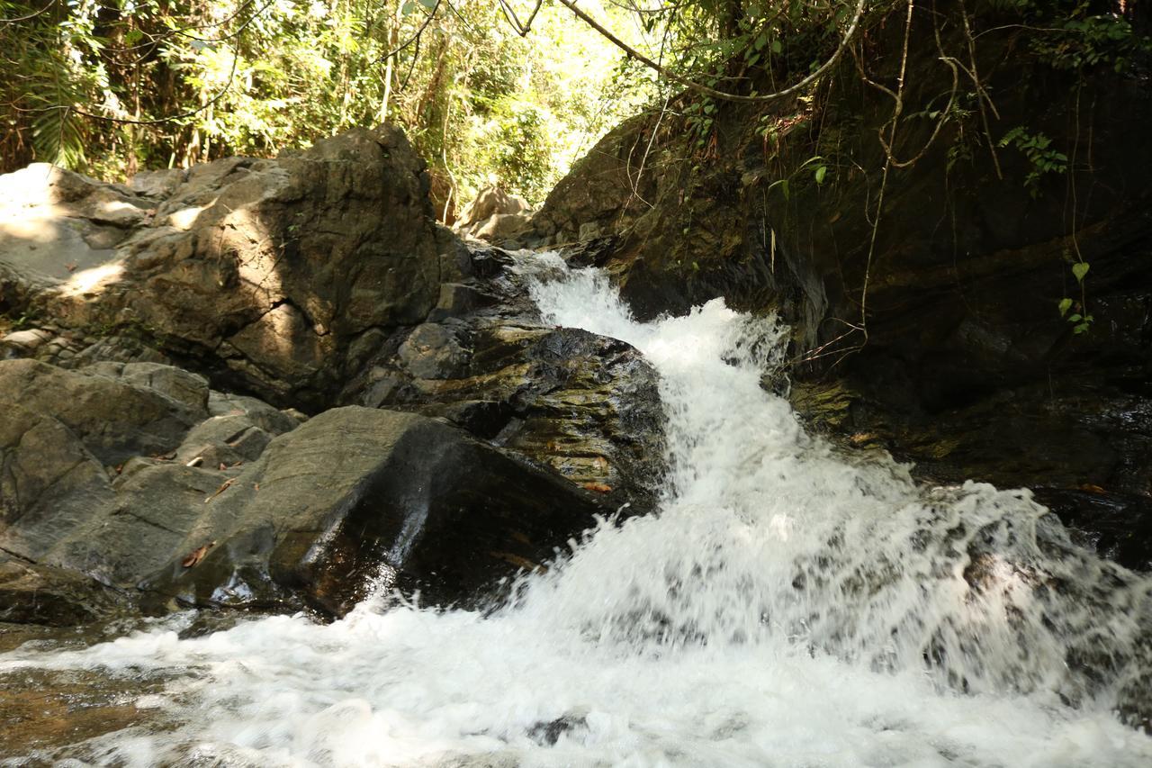 Gallene Gala Nature Resort Kitulgala Dış mekan fotoğraf