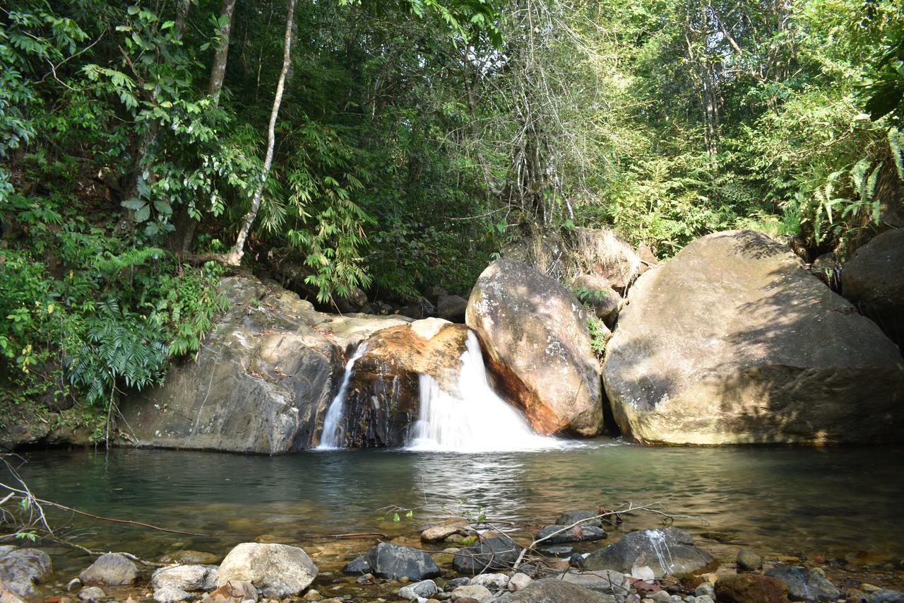 Gallene Gala Nature Resort Kitulgala Dış mekan fotoğraf