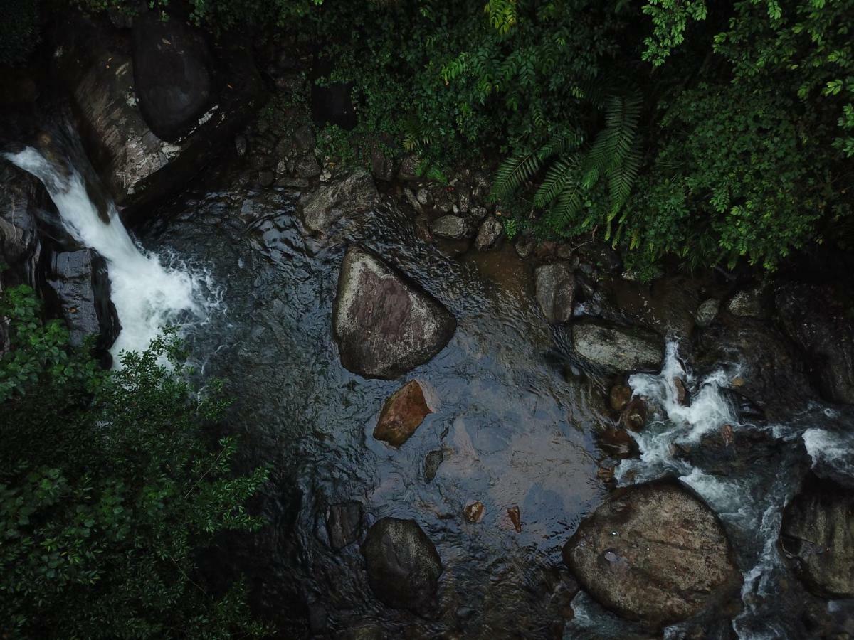 Gallene Gala Nature Resort Kitulgala Dış mekan fotoğraf