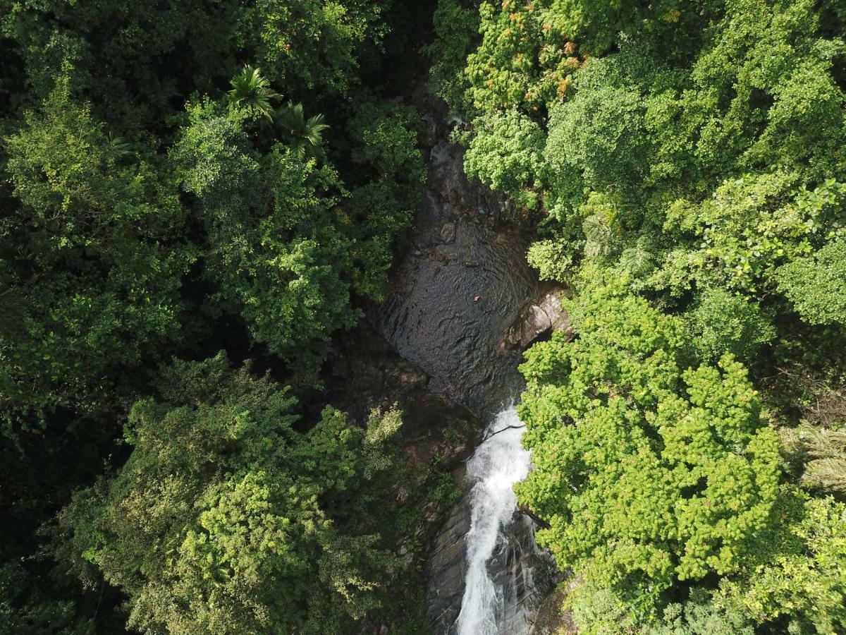 Gallene Gala Nature Resort Kitulgala Dış mekan fotoğraf